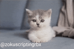 Zokuscriptingrbx GIF