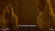 Disney Trolls GIF by Lucasfilm