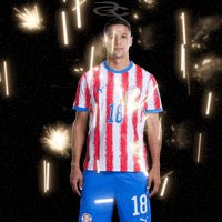 Fifa World Cup Paraguay GIF by Respective