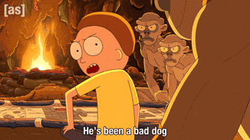 Bad Dog Fire GIF by Adult Swim