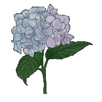 Flower Spring Sticker by By Sauts // Alex Sautter