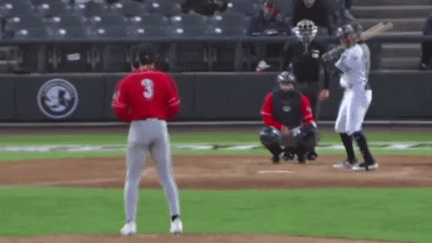 tesstass giphyupload GIF