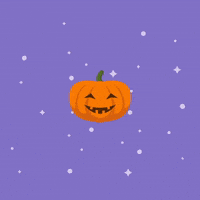 tomfabre party halloween fiesta pumpkin GIF