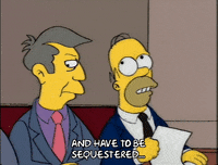 homer simpson episode 20 GIF