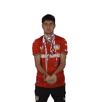 Happy Football Sticker by Bayer 04 Leverkusen