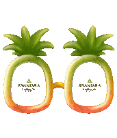 anantaraseminyak hot glasses tropical pineapple Sticker