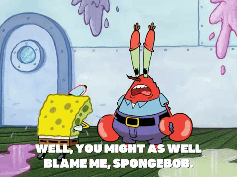 season 5 GIF by SpongeBob SquarePants