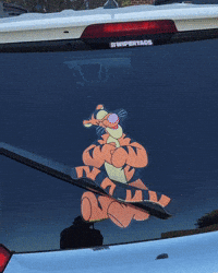 Tiger Tail Wipertags GIF by WiperTags Wiper Covers