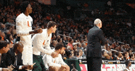 miamihurricanes happy sports celebration basketball GIF