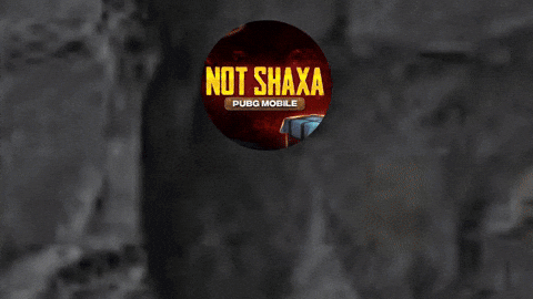 NOTshaxa giphyupload notshaxa not shaxa shaxa GIF