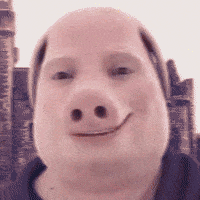 John Pork GIF by Respective