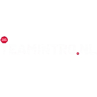 Teamintro Sticker by TeamIntro_Chantal