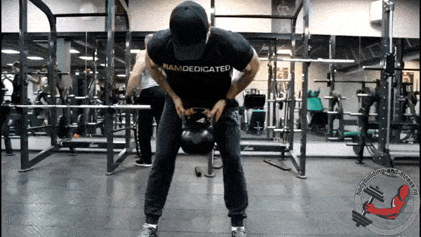 bodybuilding-and-fitness giphyupload GIF