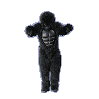 Dance Monkey Sticker by Yle Galaxi