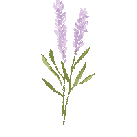 Flower Plant Sticker by Prosa de Cora