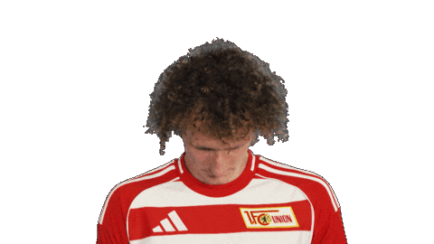 Union Berlin Sticker by Bundesliga