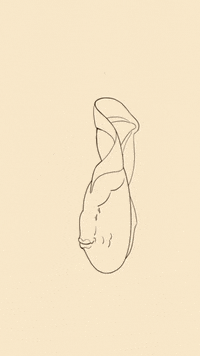 alexiamokry art animation fish GIF