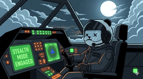 Flying Secret Mission GIF by Kanpai Pandas