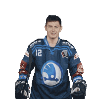 Hockey Hokej Sticker by HC Škoda Plzeň