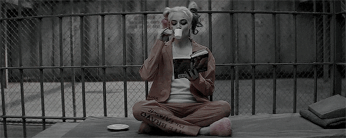 suicide squad q GIF
