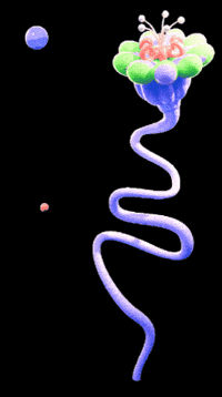 Sommer Sdf GIF by SummerDays Festival