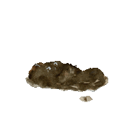 Plant Garden Sticker