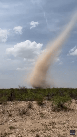Large Landspout Forms in Western Texas