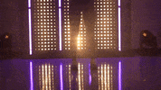 Washington Huskies Softball GIF by NCAA Championships