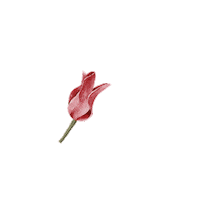 rm Sticker by Risen Motherhood