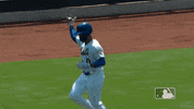 Celebrate Ny Mets GIF by New York Mets