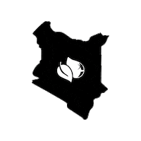 Kenya Joa Sticker by justoneafrica