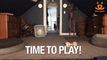 Time To Play!