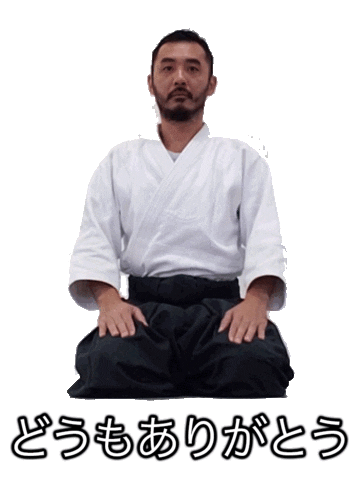 Rei Aikido Sticker by Instituto União