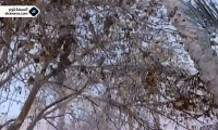 GIF by elCinema.com