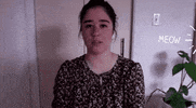 Work From Home GIF by WGBH Boston