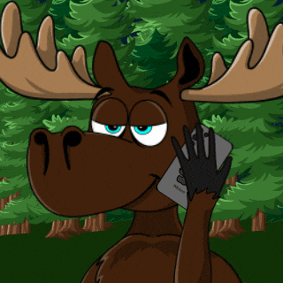 DoYouMoose bitcoin ethereum web3 stocks GIF