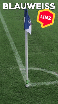 Soccer Wow GIF by Linz News