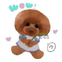 Poodle Wow Sticker