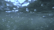 north carolina GIF