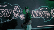 GIF by NDSU Athletics