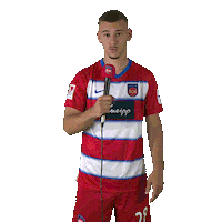 Interview Talk Sticker by 1. FC Heidenheim 1846