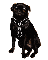 Animation Pug Sticker by Jon Joiner