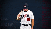 Pro GIF by USA Baseball