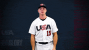 Pro GIF by USA Baseball