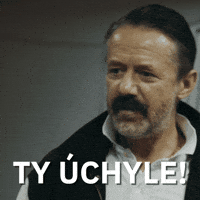 Hokej Lajna GIF by Seznam.cz