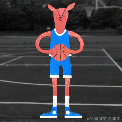 CharlotteCheshire cute basketball animal ball GIF