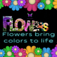 FLOWERS✿