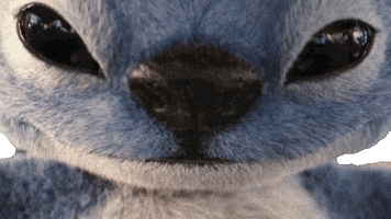 Lilo And Stitch GIF by Walt Disney Studios