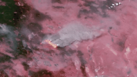 vitalialiakhnovich giphyupload GIF