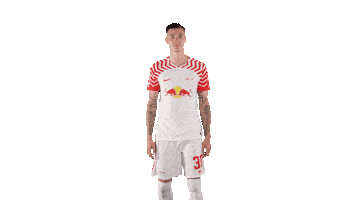Football Hello Sticker by RB Leipzig